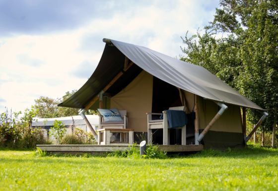 Afbeelding van een Tiny Tent lodge met terras en stoelen op een grasveld onder een lichtbewolkte lucht.