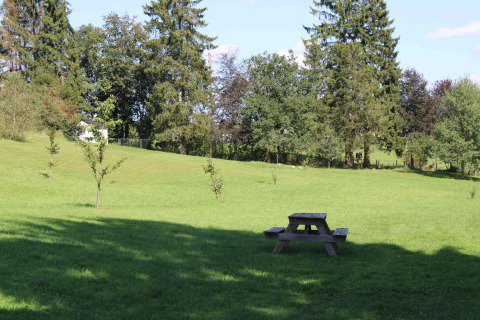 Grüner Campingplatz mit Picknicktisch und jungen Bäumen im Oos Heem Ferienpark, Lüttich, Belgien, an einem sonnigen Tag.