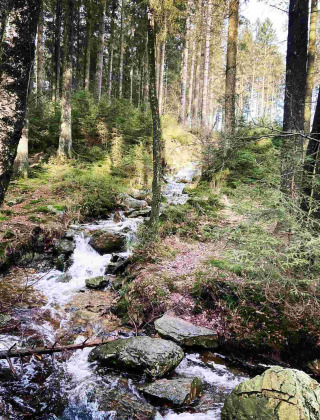 Un arroyo fluye entre rocas y árboles en un bosque cerca de Deidenberg, Lieja, Bélgica.