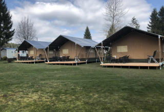 Drie grote glamping tenten met terrassen op grasveld bij Camping Oos Heem, vakantiepark in Luik, België.