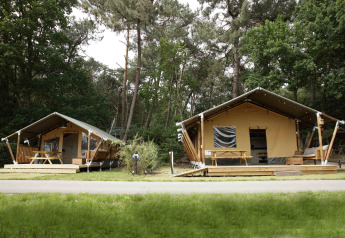 To safaritelte-lodges i skoven med træterrasser og picnicborde under høje træer, Safari tent lodge.