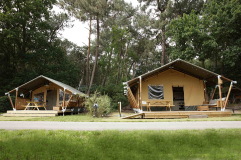Deux lodges tentes safari en forêt avec terrasses en bois et tables de pique-nique, Safari tent lodge.
