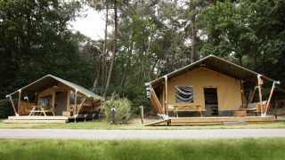 Deux lodges tentes safari en forêt avec terrasses en bois et tables de pique-nique, Safari tent lodge.