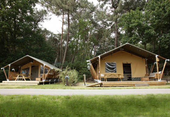 Deux lodges tentes safari en forêt avec terrasses en bois et tables de pique-nique, Safari tent lodge.