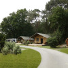 Panoramic view of Safari tent lodge with dome tent, wooden cabins, and lush greenery all around.