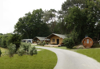 Panoramabillede af Safari tent lodge med geodætisk kuppel, træhytter og grønne omgivelser.