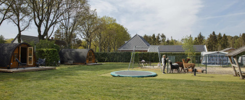 Parque vacacional Costa Kabrita en North-Brabant con área de juegos, trampolín, cabañas y alpacas.