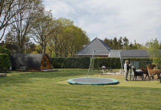 Feriepark Costa Kabrita i Nord-Brabant med legeplads, trampolin, træhytter og alpakaer i folden.