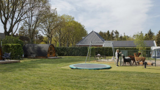 Parque vacacional Costa Kabrita en North-Brabant con área de juegos, trampolín, cabañas y alpacas.