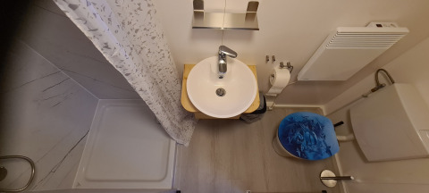 Kleine badkamer in een tiny house op Vakantiepark 't Urkerbos met douche, lavabo en toilet.