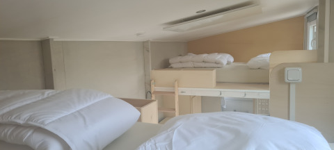 Indvendigt billede af Tiny House med køjesenge og loftseng i Vakantiepark 't Urkerbos, Holland.