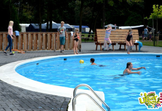 Børn leger i swimmingpoolen på Vakantiepark 't Urkerbos i Flevoland, Holland, omgivet af træer og camping.