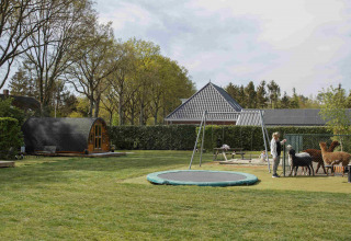 Glamping Pods bij Costa Kabrita in Nederland met trampoline, dieren en een gezellige speelweide.