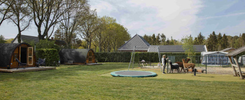 Glamping Pods en Costa Kabrita, Países Bajos, con animales, trampolín, cabañas y zona de juegos al aire libre.