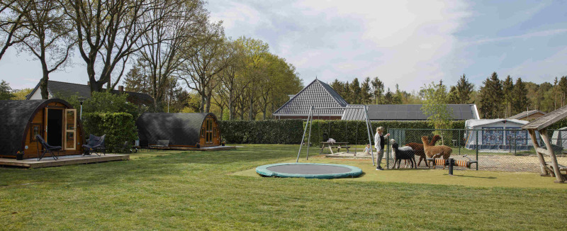 Glamping Pods bei Costa Kabrita in den Niederlanden mit Trampolin, Alpakas und Spielplatz im Freien.