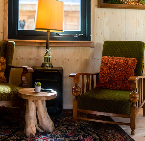 Acogedor rincón en la tiny house Jachthut de Camping Vinkenhof, con sillones verdes y mesa rústica de madera.