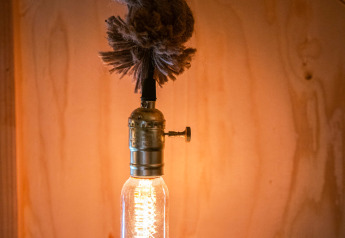 Lampadina Edison appesa a una corda nella tiny house Jachthut al Camping Vinkenhof, Paesi Bassi.