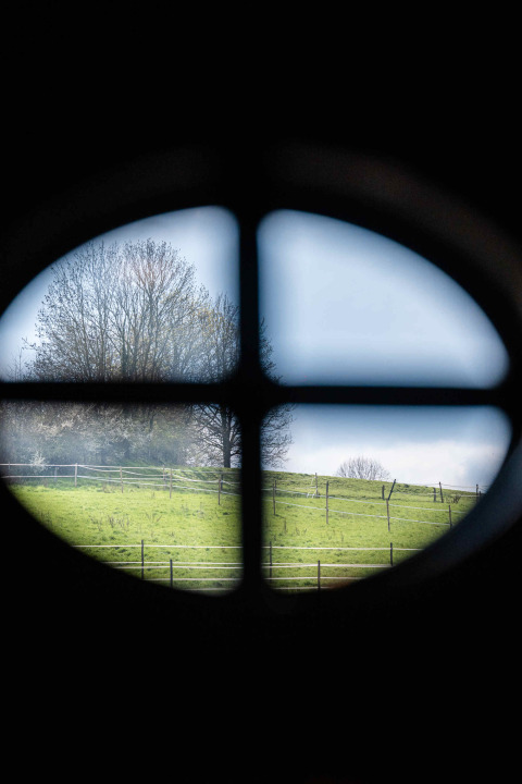 Blick durch ein ovales Fenster auf grüne Wiesen und Bäume in der Shepperd Lodge Glamping-Unterkunft.