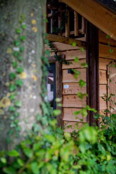 Wooden tiny house Jachthut at Camping Vinkenhof in the Netherlands, surrounded by green foliage.