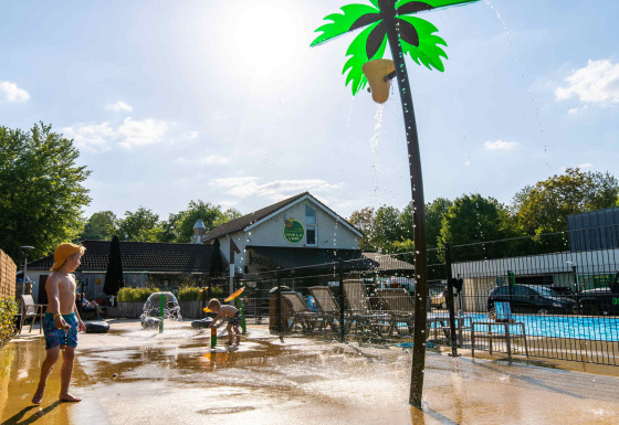 Children play under a water-spraying palm tree by the pool at Camping Vinkenhof, Limburg, Netherlands.