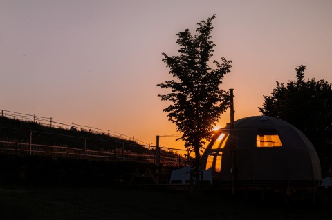 Atardecer tras árboles y la Panorama Dome en Camping Vinkenhof, Países Bajos, luz cálida en la ventana.