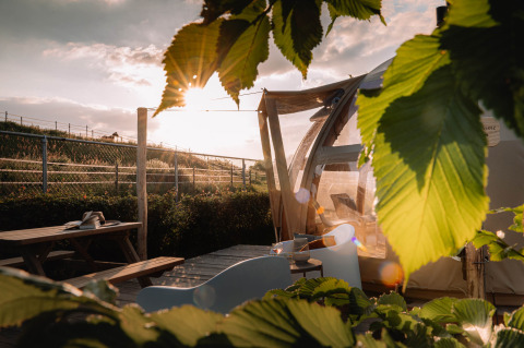 Panorama Dome beim Camping Vinkenhof in den Niederlanden, durch grüne Blätter bei Sonnenuntergang.