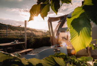Panorama Dome bij Camping Vinkenhof in Nederland, gefotografeerd door groene bladeren bij zonsondergang.