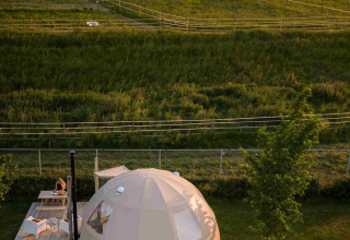 Cúpula Panorama en Camping Vinkenhof, Países Bajos, rodeada de campos verdes y caballos pastando.