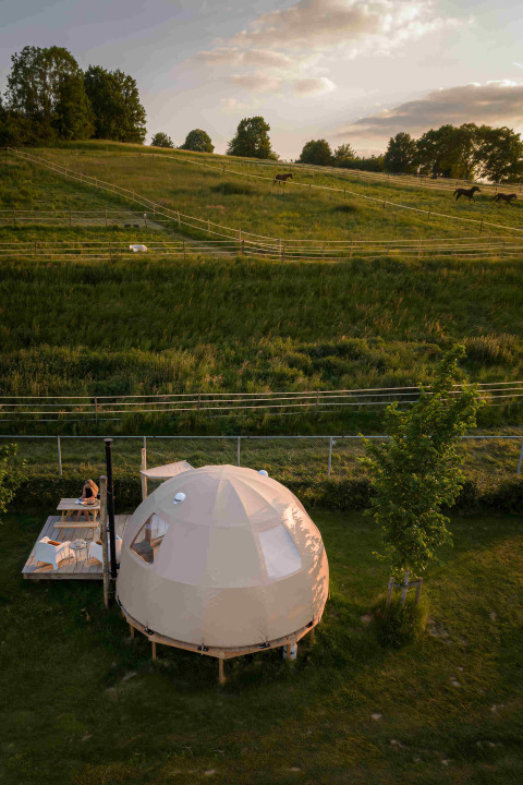 Panorama Dome auf dem Campingplatz Vinkenhof in den Niederlanden, umgeben von Wiesen und Pferden.