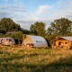 Tiny houses ved Holiday Park Mölke i Holland, omgivet af grønt græs og træer, ved solnedgang.