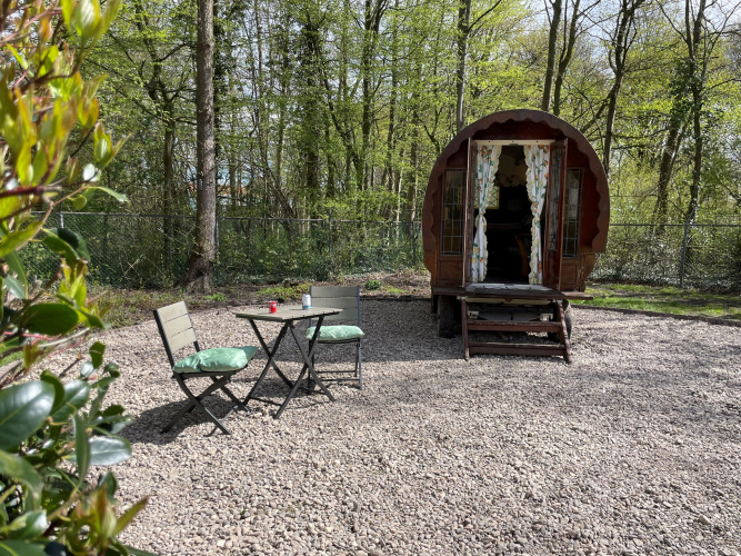 Gemütlicher Gipsy Wagon Tiny House mit Sitzbereich im Freien im Wald bei Buytenplaets Abelen, Niederlande.