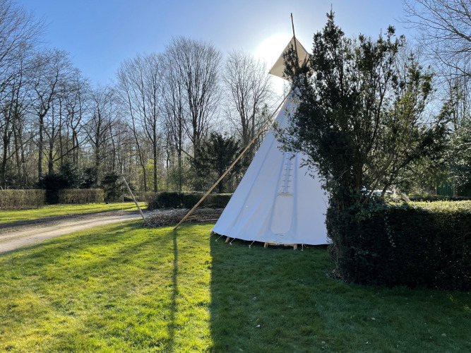 Une tente tipi appelée Tipi à Buytenplaets Abelen, aux Pays-Bas, entourée d’herbe verte et d’arbres.