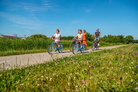 Eine Familie fährt gemeinsam Fahrrad auf einem Weg im Ferienpark mit Glamping, umgeben von Natur.
