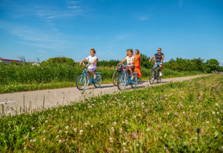 En familie cykler sammen på en sti ved et feriepark med glamping, omgivet af grøn natur og solskin.