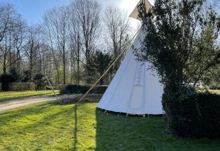 Tienda tipi sobre césped verde con árboles y sol en Buytenplaets Abelen, parque vacacional en Flevoland, Países Bajos.