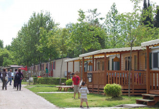 People walk and children play outside cozy wooden lodges surrounded by greenery and trees at a vacation park.