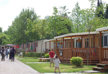 People walk and children play outside cozy wooden lodges surrounded by greenery and trees at a vacation park.