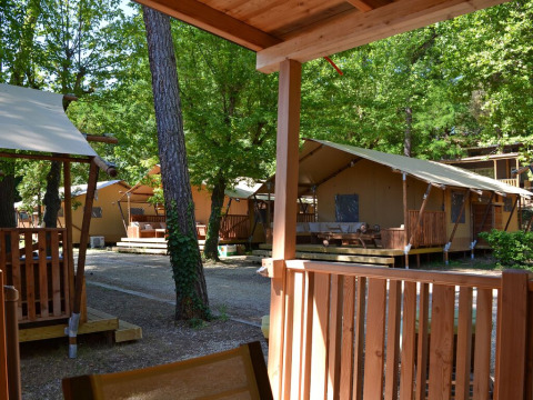 SunLodge Taiga met verschillende lodgetenten, houten terrassen en veel bomen in een rustige sfeer.