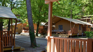 SunLodge Taiga met verschillende lodgetenten, houten terrassen en veel bomen in een rustige sfeer.