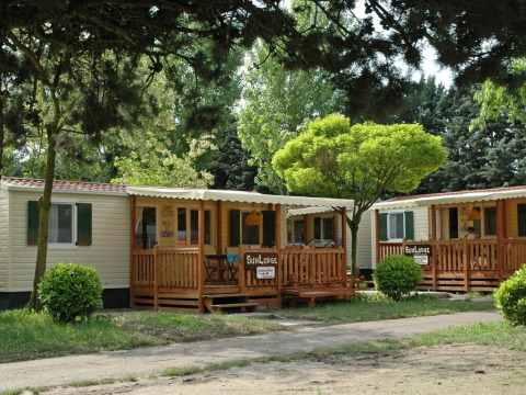 Foto van SunLodge Maple lodges met houten veranda’s, gelegen tussen bomen en groen in een rustige omgeving.