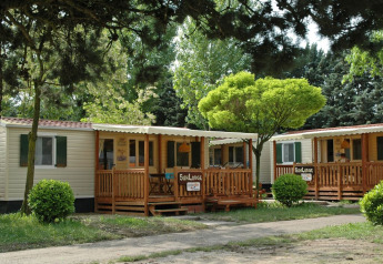Cabañas SunLodge Maple con porches de madera, rodeadas de árboles y vegetación en un entorno tranquilo.