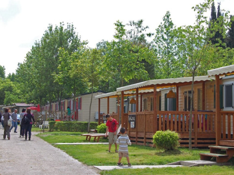 Famiglie e bambini si godono la vacanza davanti a SunLodge Maple al Camping Bella Italia, tra gli alberi.