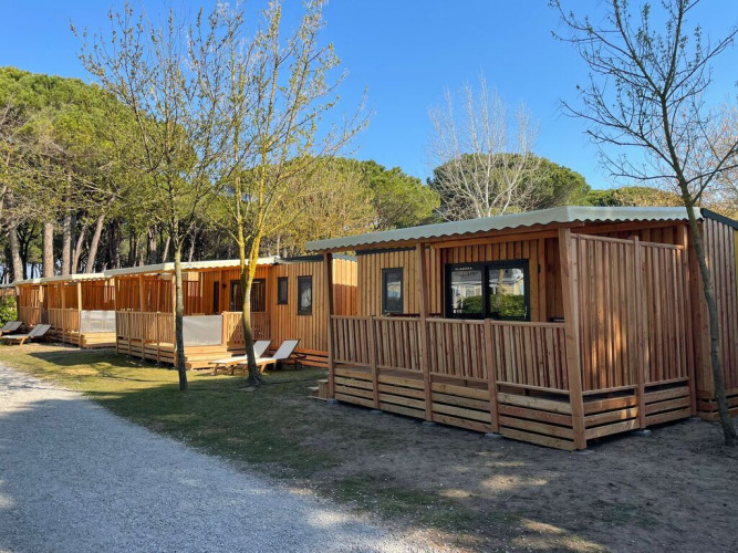 Filas de cabañas de madera SunLodge Babul con terrazas, rodeadas de árboles y un camino de grava.
