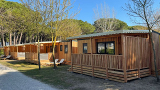 Filas de cabañas de madera SunLodge Babul con terrazas, rodeadas de árboles y un camino de grava.
