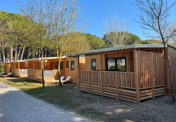 Filas de cabañas de madera SunLodge Babul con terrazas, rodeadas de árboles y un camino de grava.