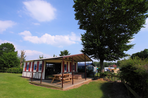 Tienda tipo safari llamada Tentlodge en Camping Vinkenhof, Países Bajos, con mesa de picnic bajo árbol grande.