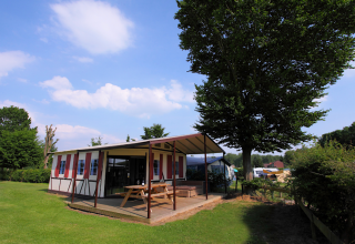 Tienda tipo safari llamada Tentlodge en Camping Vinkenhof, Países Bajos, con mesa de picnic bajo árbol grande.