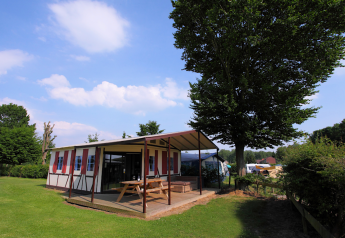 Safari telt ved Camping Vinkenhof i Holland med udendørs siddeplads under et stort træ i grøn omgivelser.