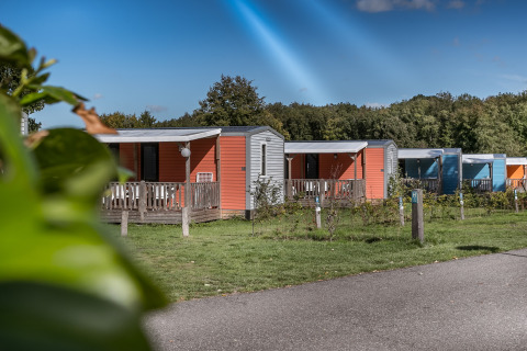 Foto de coloridas cabañas Forest Lodge en Vakantiepark De Luttenberg, Países Bajos, rodeadas de vegetación.