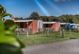 Foto de coloridas cabañas Forest Lodge en Vakantiepark De Luttenberg, Países Bajos, rodeadas de vegetación.